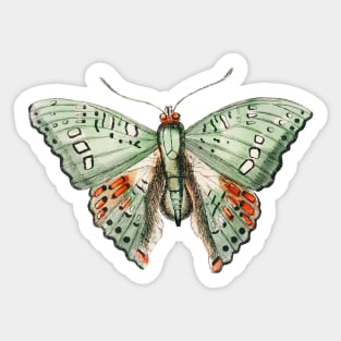 Green Butterfly Sticker